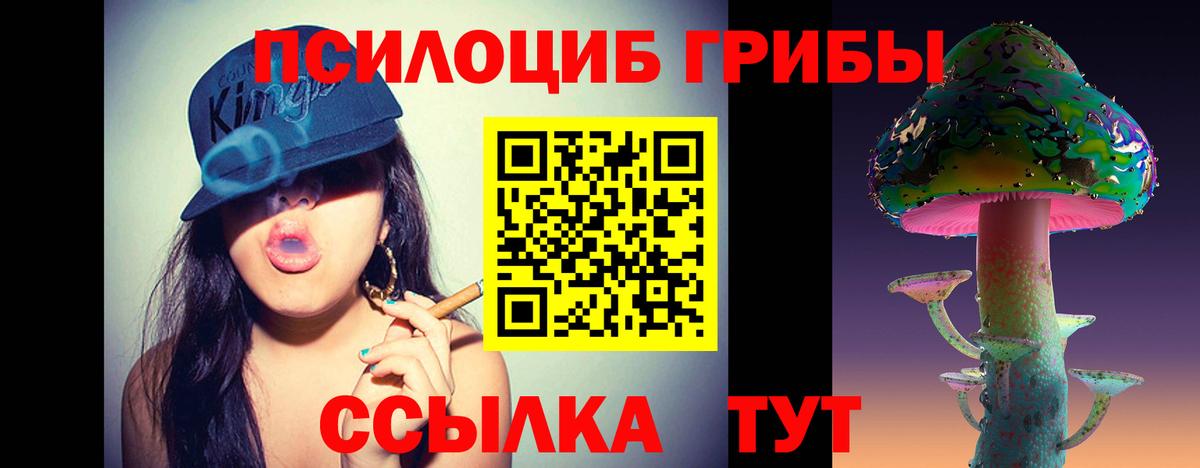 Старая Купавна  даркнет сайт  Вход с VPN  Галлюциногенные грибы Psilocybine cubensis 